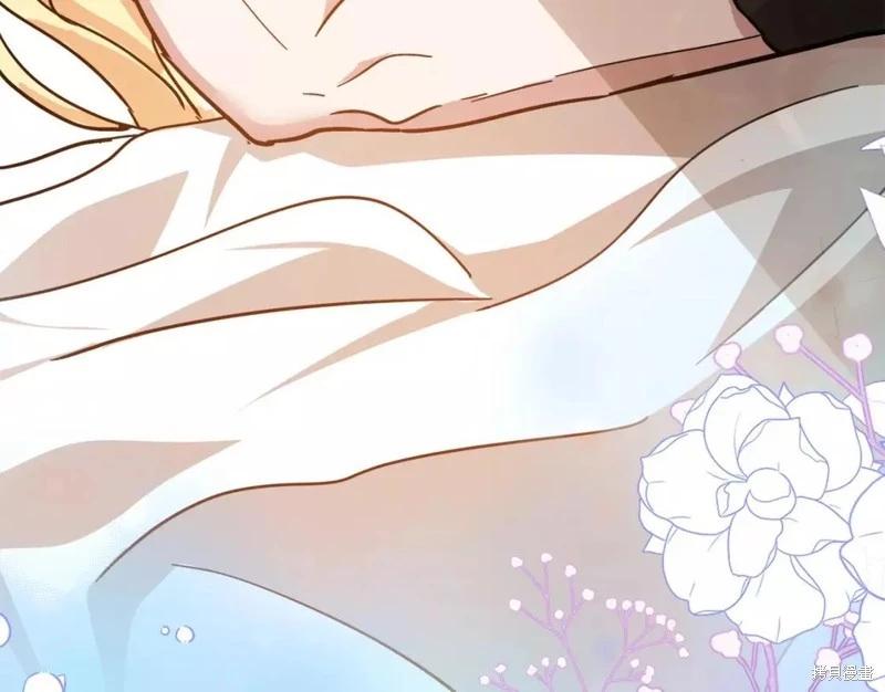 第 232 页