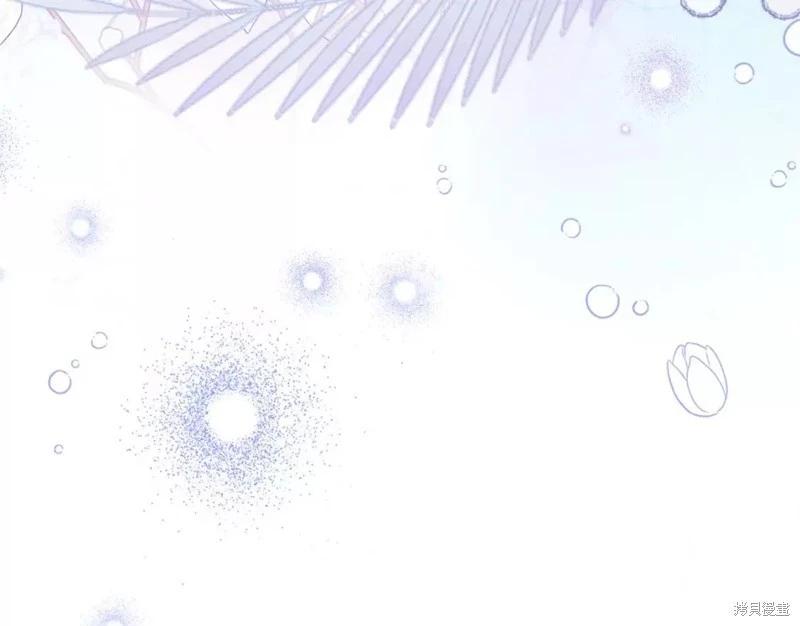第 234 页
