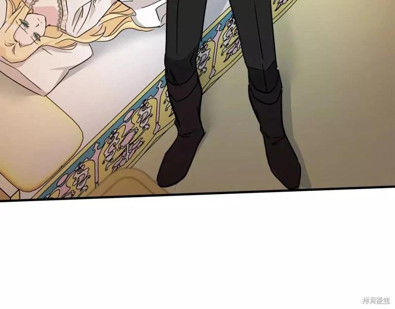 第 244 页