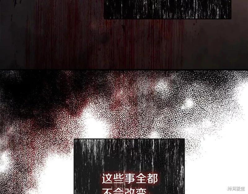 第 113 页
