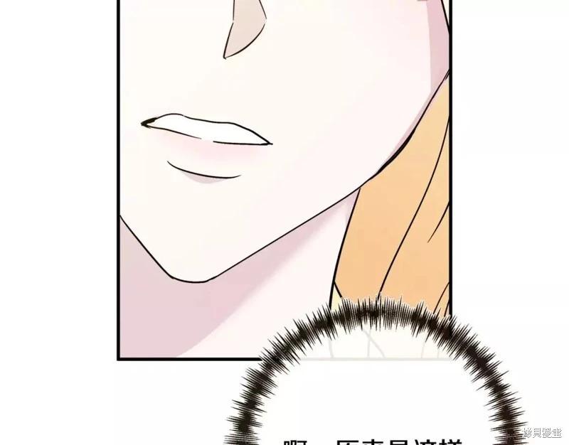 第 142 页