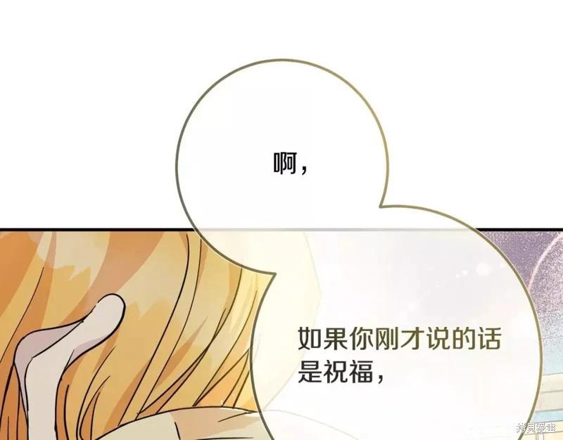 第 221 页
