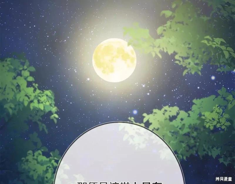 第 224 页