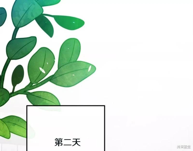 第 102 页