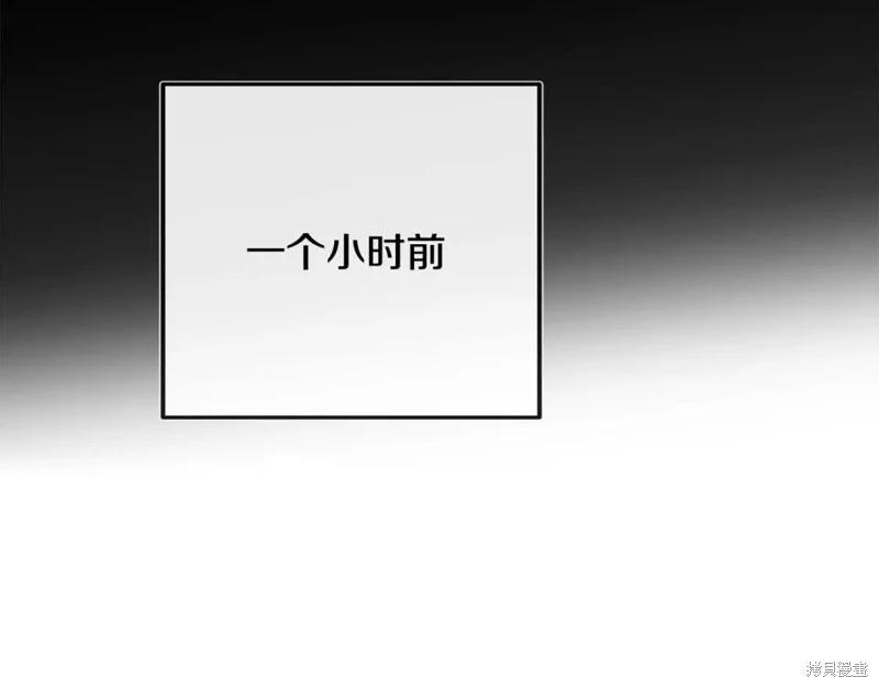 第 146 页