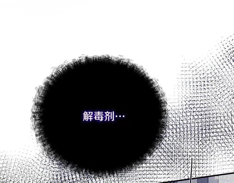 第 204 页