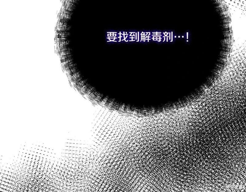 第 207 页
