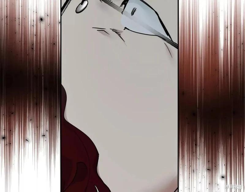 第 217 页