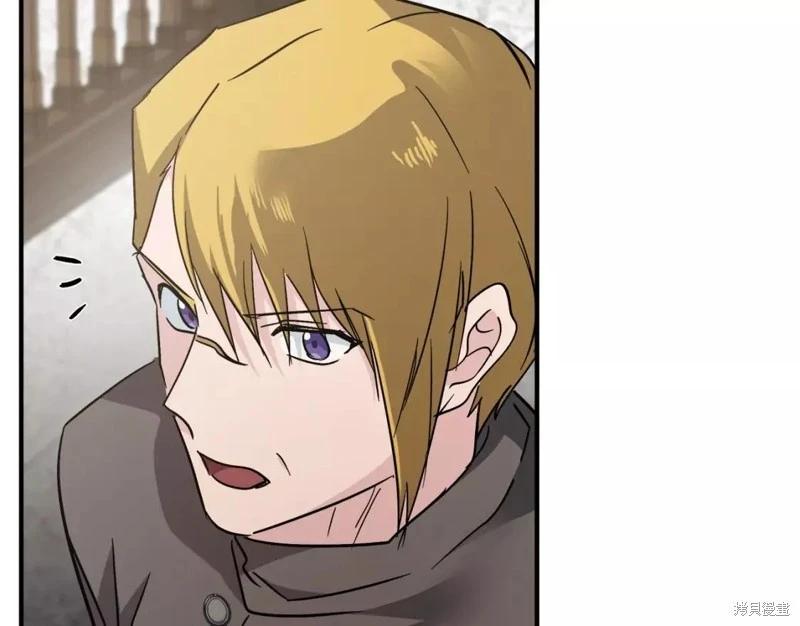 第 233 页