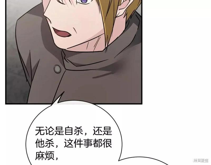 第 113 页
