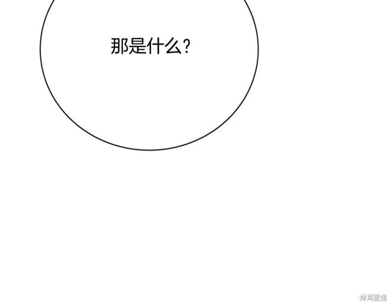第 211 页