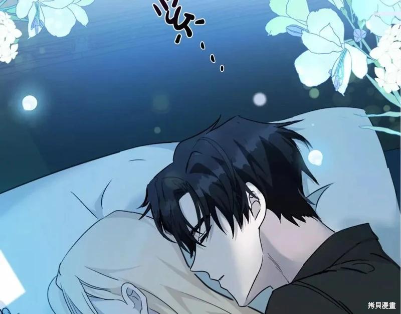 第 241 页