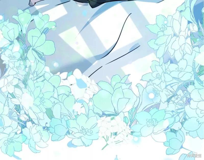 第 243 页