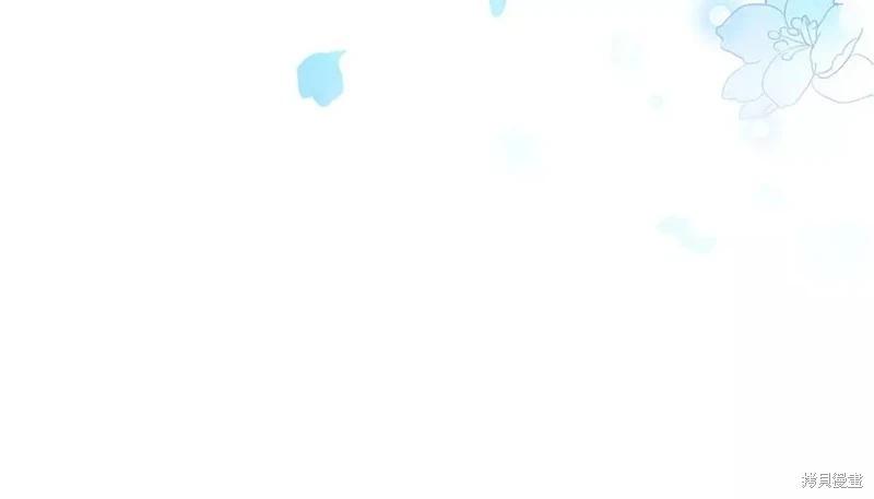 第 244 页