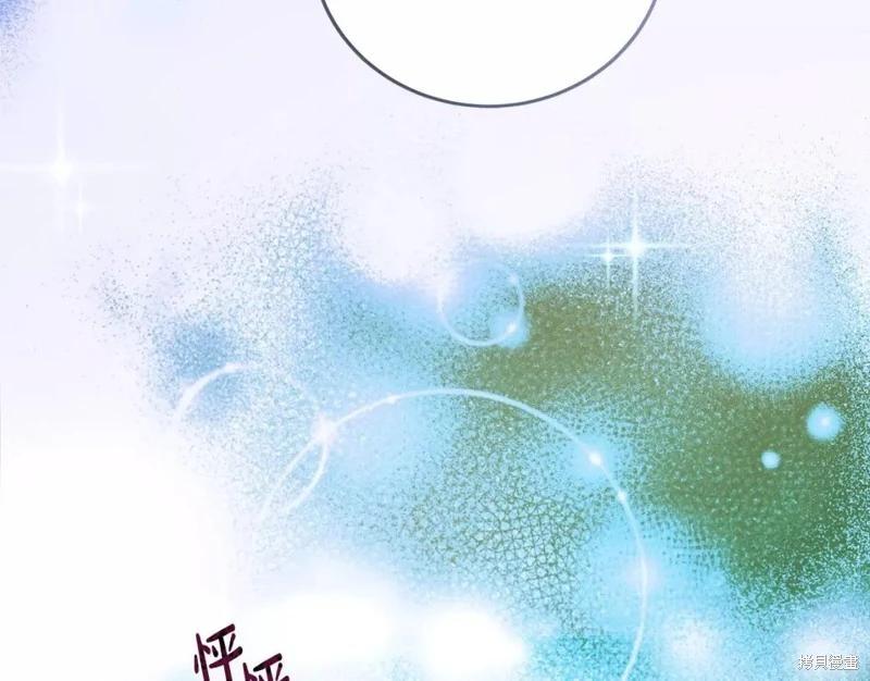 第 205 页