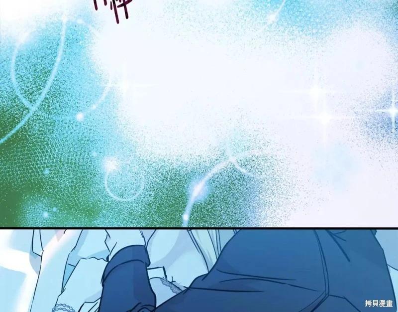 第 206 页