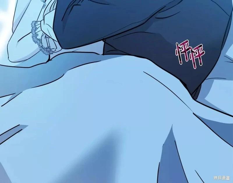 第 207 页