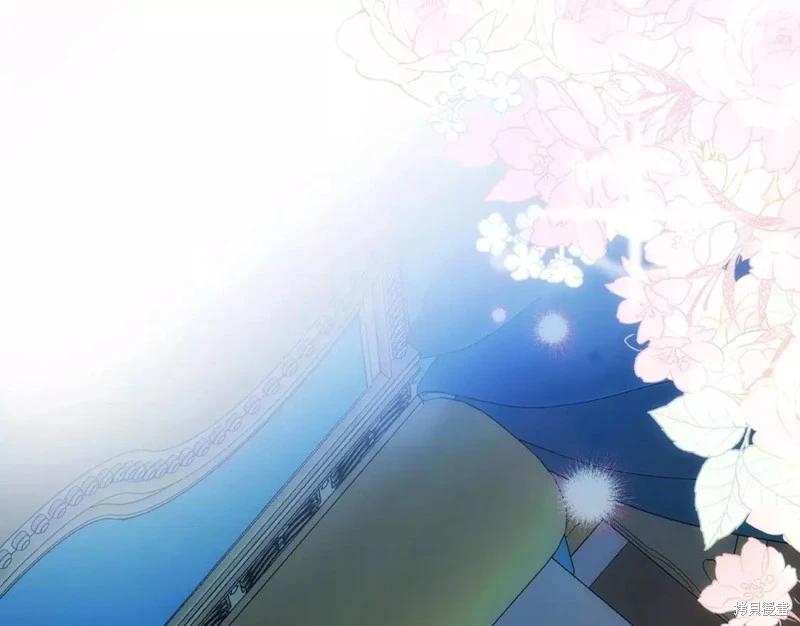 第 213 页