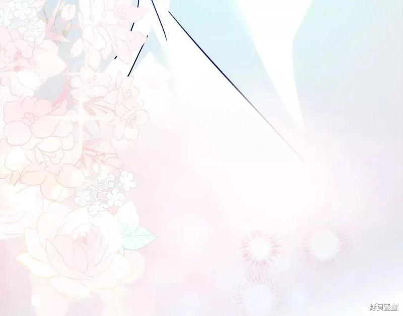 第 216 页