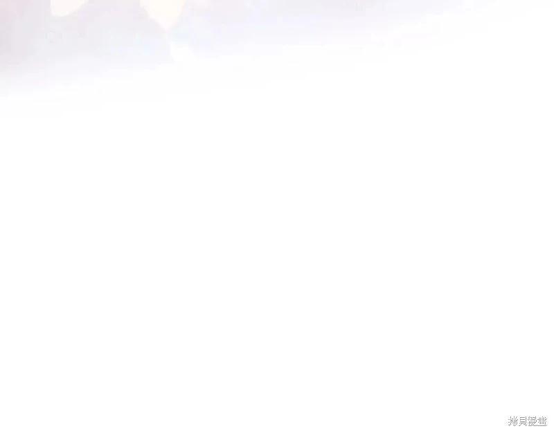 第 217 页