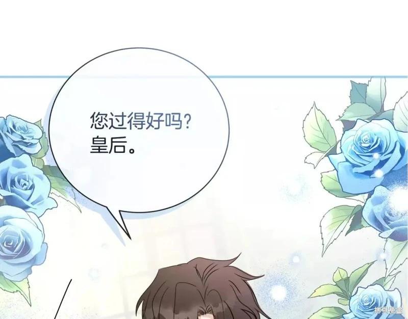 第 223 页