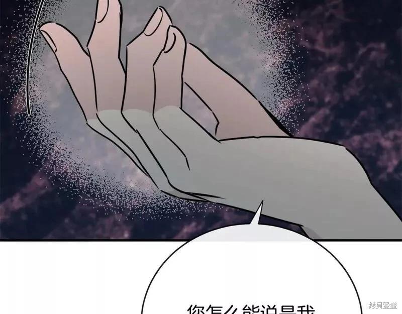 第 146 页