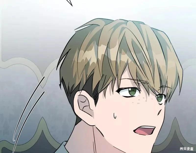 第 205 页
