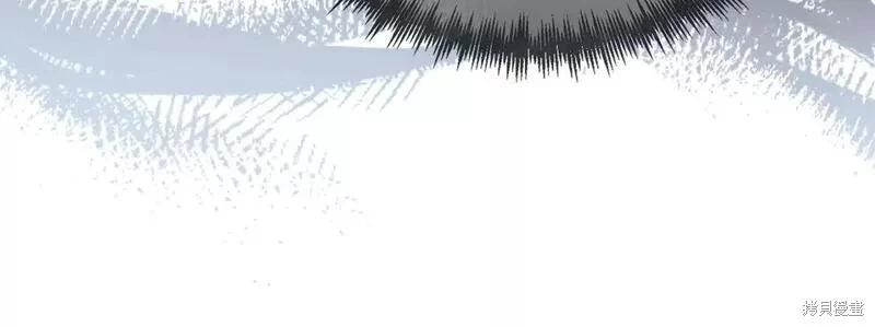 第 216 页