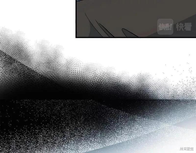 第 219 页