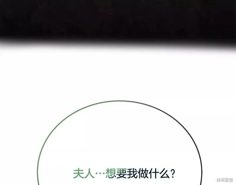 第 223 页