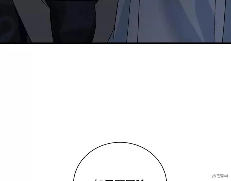 第 245 页