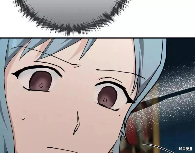 第 233 页