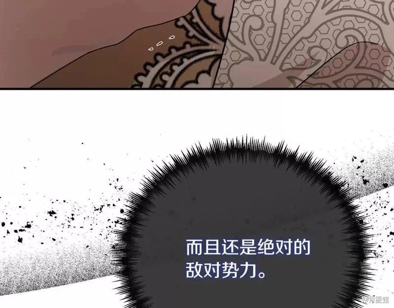 第 238 页
