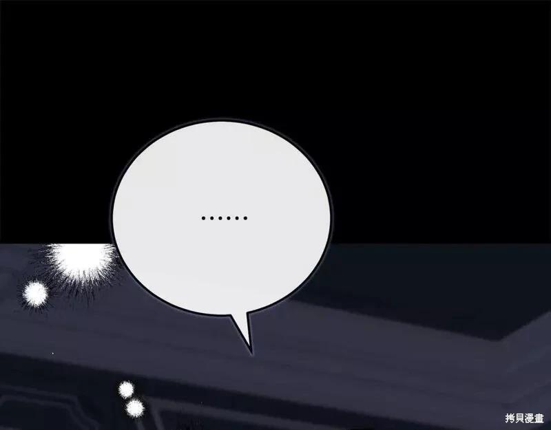 第 217 页