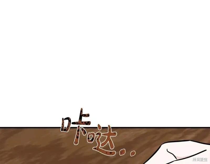 第 234 页