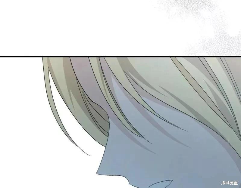第 113 页