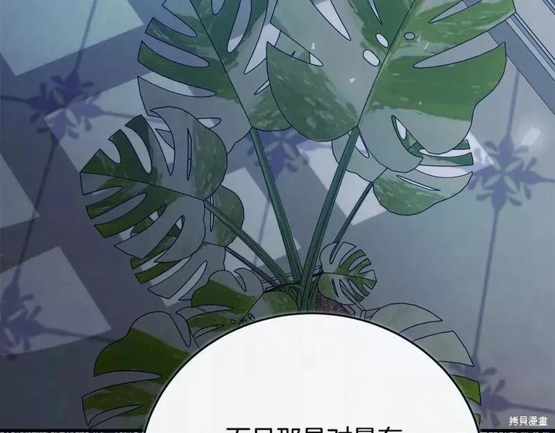 第 118 页
