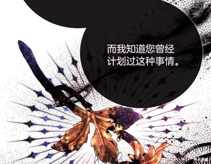 第 213 页