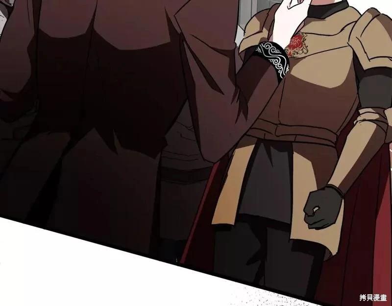 第 216 页