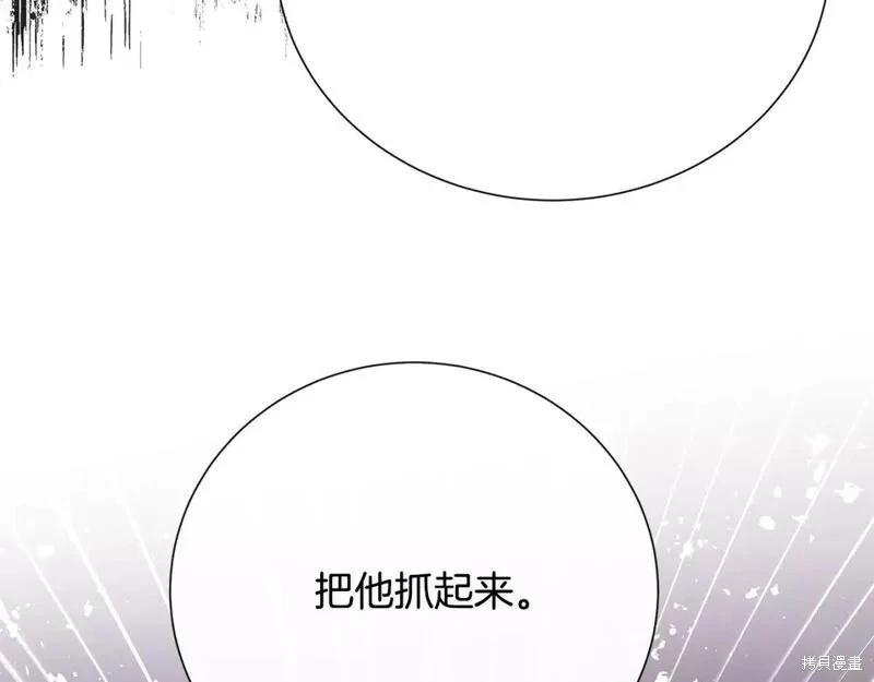 第 228 页