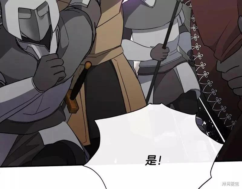 第 230 页