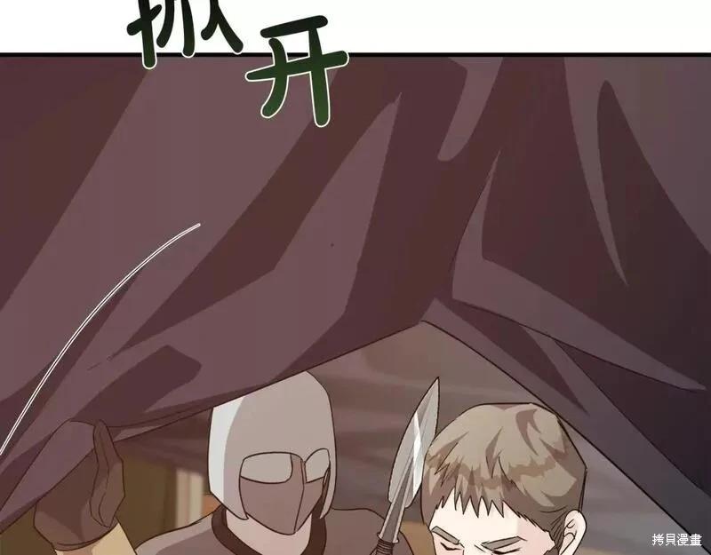 第 233 页