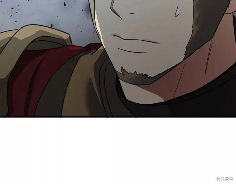 第 238 页