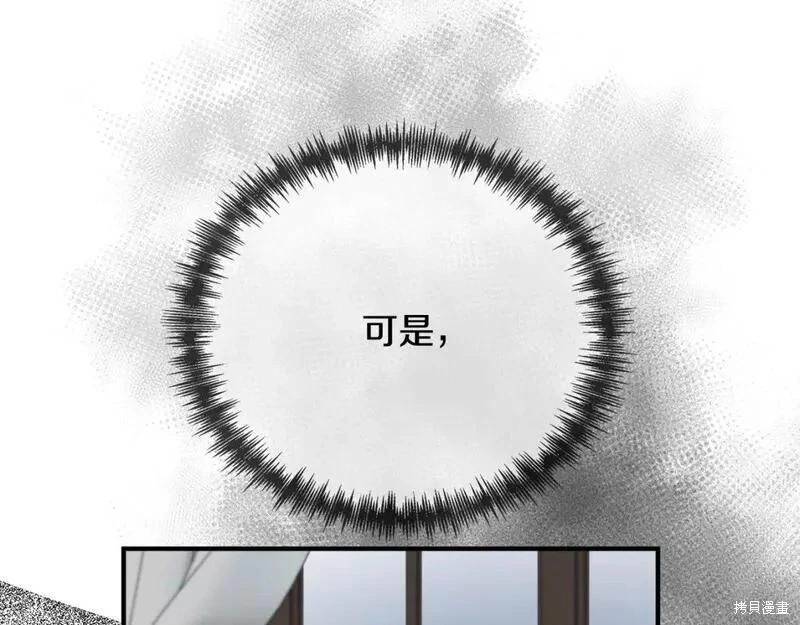 第 245 页
