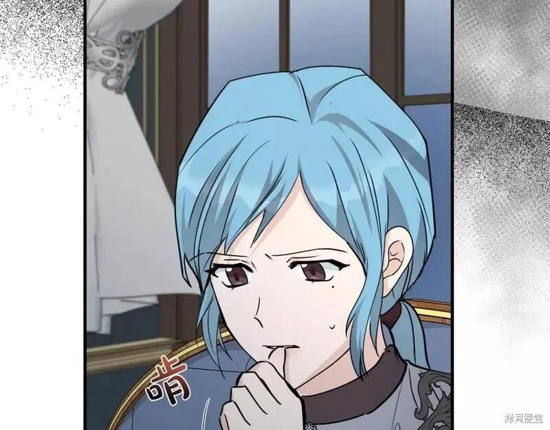 第 246 页