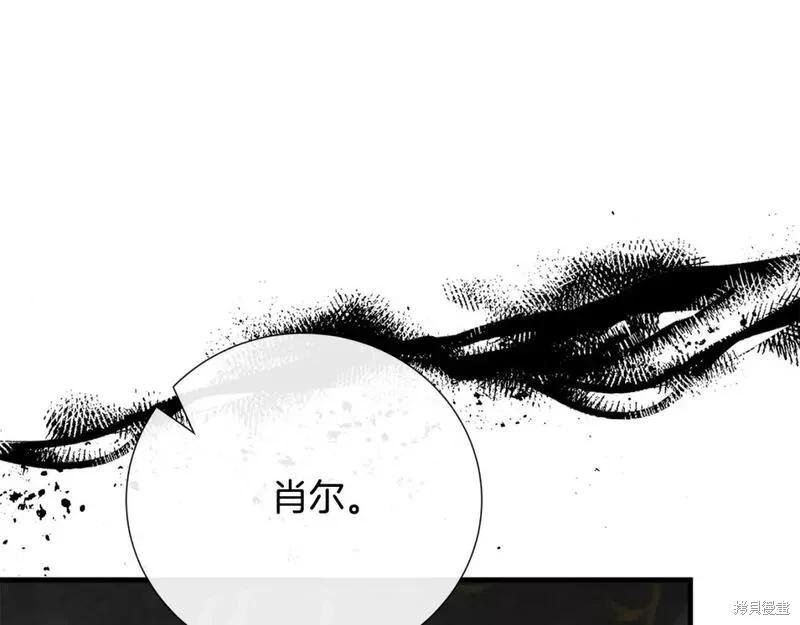 第 146 页