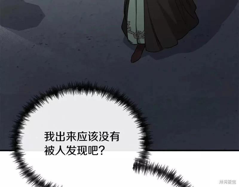第 213 页