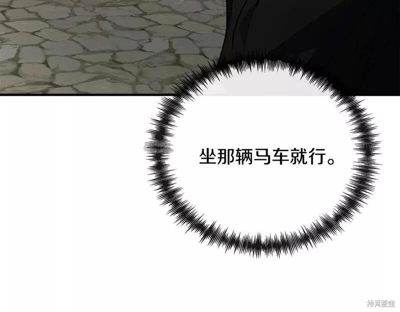 第 217 页