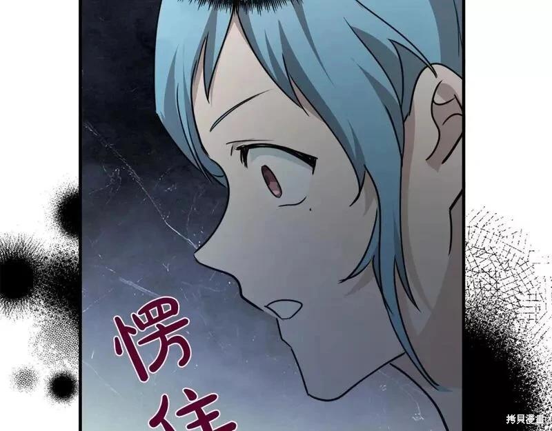 第 219 页