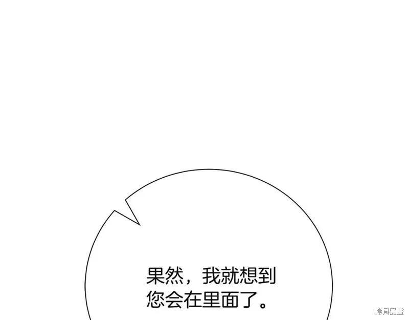 第 231 页